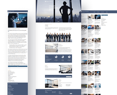 pfister und partner website