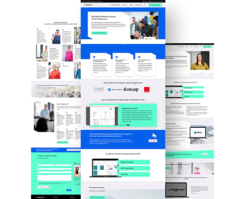 website screenshot singhammer