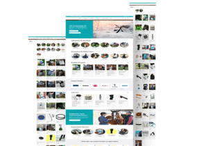 website-screenshots-innohorse